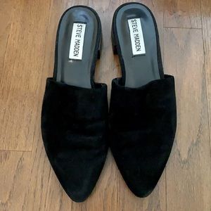 Steve Madden Cairo mule